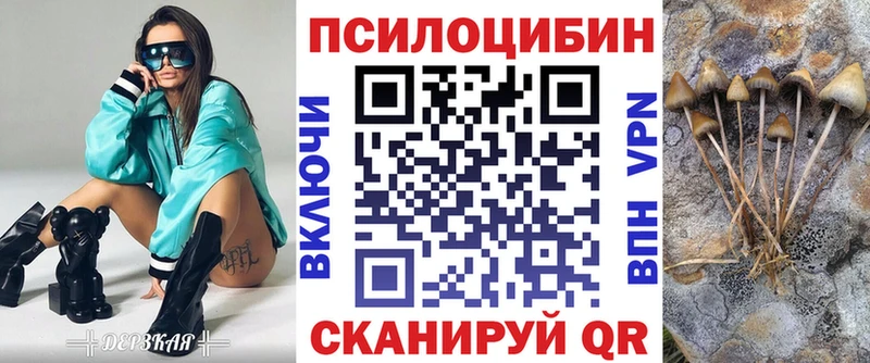 Псилоцибиновые грибы Magic Shrooms  Купить закладки  Карабаново 